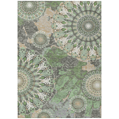 Machine Washable Indoor/Outdoor Chantille ACN2335 Paisley Rug