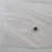 Vinyl Liner-1101908382