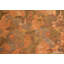 One-of-a-Kind Runner 9" X 5'7" Area Rug