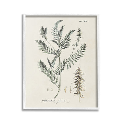 WoodlandLeafStudyGicleeArtbyMartini