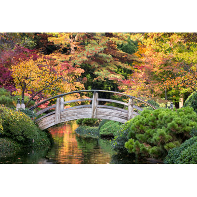 Kemilly Bridge Over Autumnal Waters on Canvas par Dean_Fikar, photographie