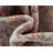 Giampiera Indoor Rug-1700138752