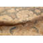 One-of-a-Kind Rectangle 12' X 19'7" Area Rug