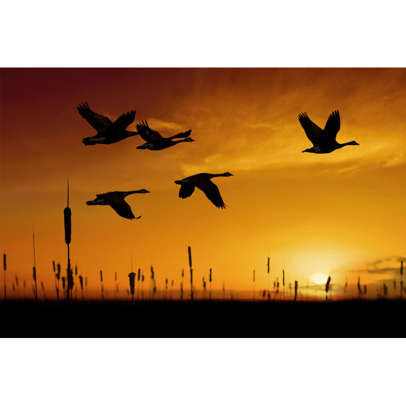 Migrating Canada Geese - Wrapped Canvas Print, 61cm H x 91cm W x 3.8cm D