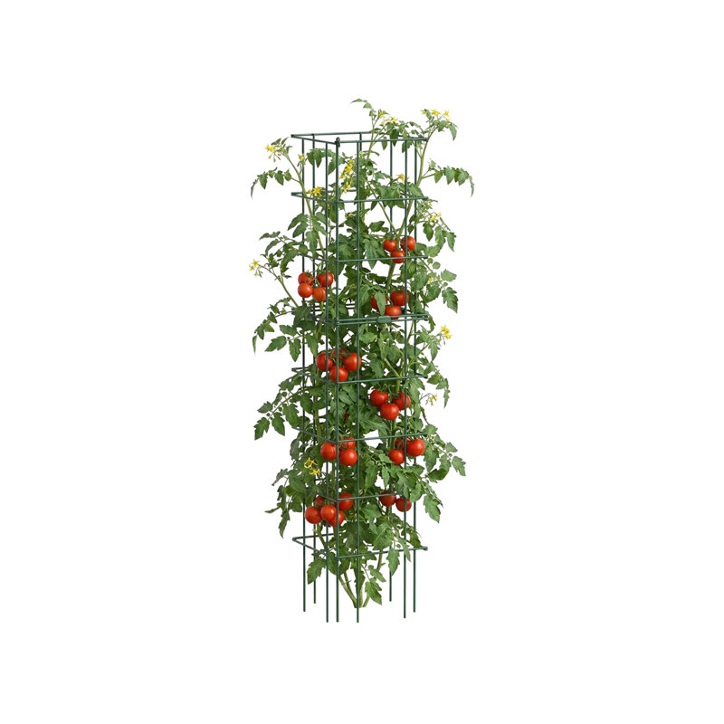 Cage à tomates carrée 16,5 po, 2 cages (ensemble 1 tour)