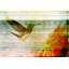 "spring hill" par parvez taj,-impression sur bois-58965731