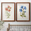 «Botanical I», ensemble de 2 reproductions d'art-271774487-271774477-271774458