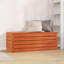Accent Cabinet-201371873