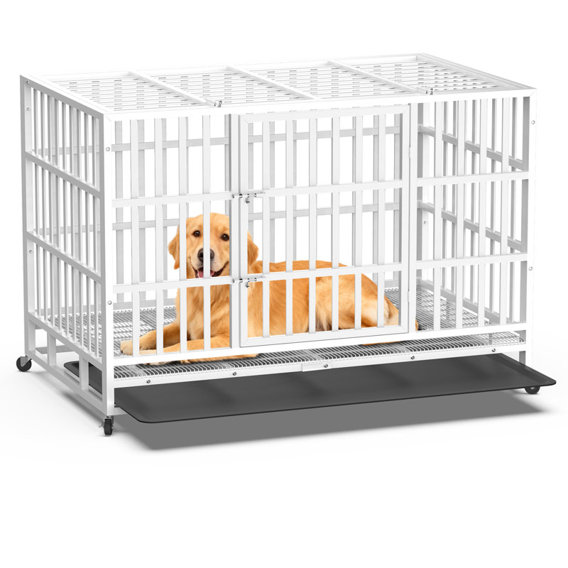 Meuble pour cage robuste pour chien de 48 po avec double porte, cage pliable en acier indestructible pour cage de chien avec roues verrouillables et plateau amovible, pour chiens de taille moyenne / grande