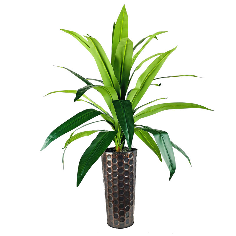 4-Foot Dracaena in Patterned Copper Planter