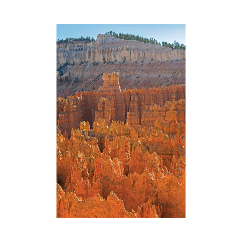 Utah, Bryce Canyon National Park by Jamie & Judy Wild - Wrapped Canvas Print, 45.72cm H x 30.48cm W x 1.905cm D
