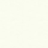 Perfect Plains White Cotton Fabric