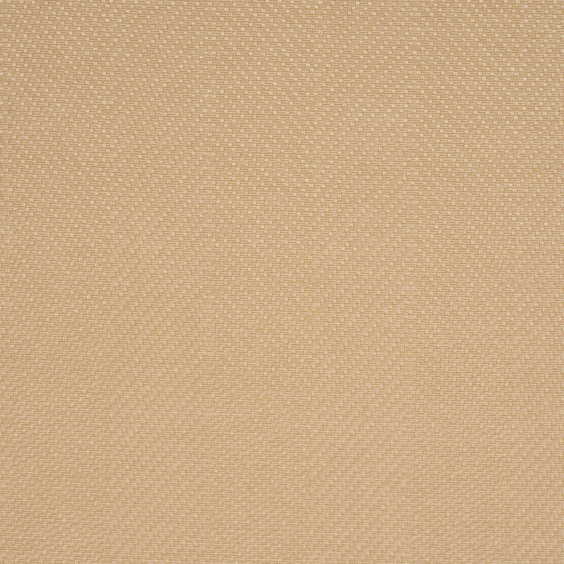 Tissu de vannerie Schumacher X Johanna Ortiz, Naturel