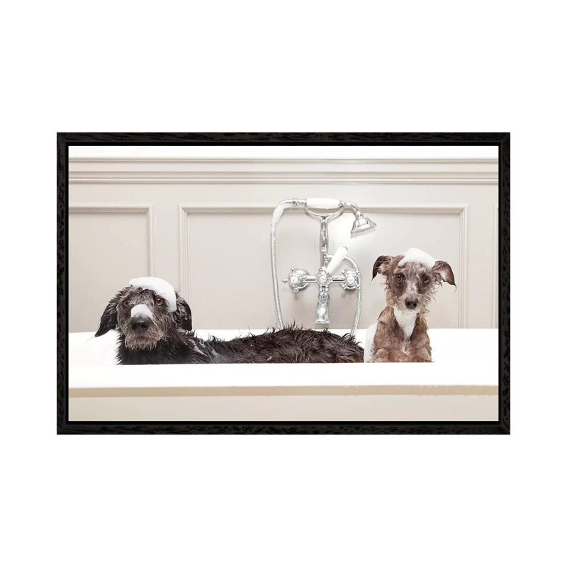 Two Funny Wet Dogs In Bathtub by Susan Schmitz - Print on Canvas, 66.04 cm H x 45.72 cm W, Black Framed