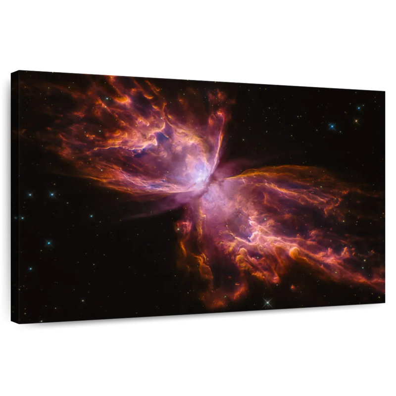 Oberle Butterfly Nebula, 8" H x 12" W
