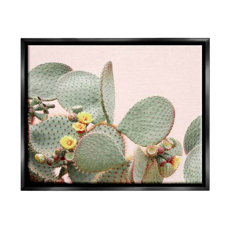 «Union Rustic Cactus Flowers on Pink Floater», art mural sur toile par Sissi et Seb, Cadre flottant noir de jais