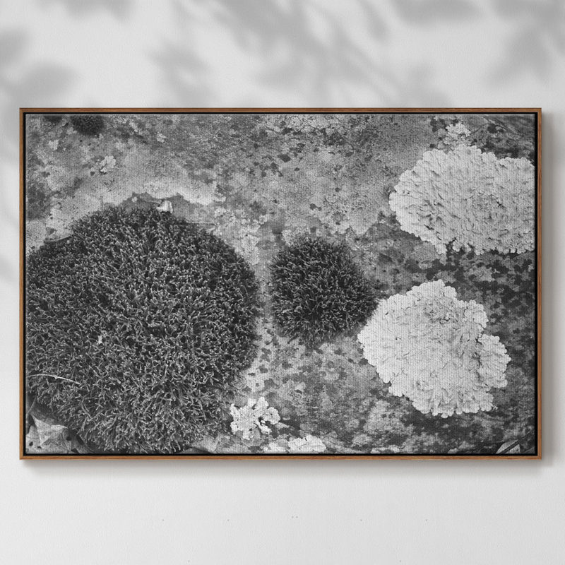 Found Textures XIX sur toile de qualité supérieure - prête à être accrochée, Toile encadrée noyer flottant