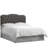 Roselare Upholstered Headboard-15087164-15087168
