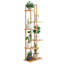 Camarion Plant Stand