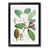 Black Framed selected
