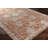 Conlan Oriental Indoor Rug-1039965688