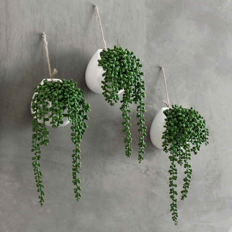 3 - Piece Artificial Pearl Plant in Pot Set