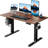 Electric Height-Adjustable Standing Desk-1798143687-1798143695