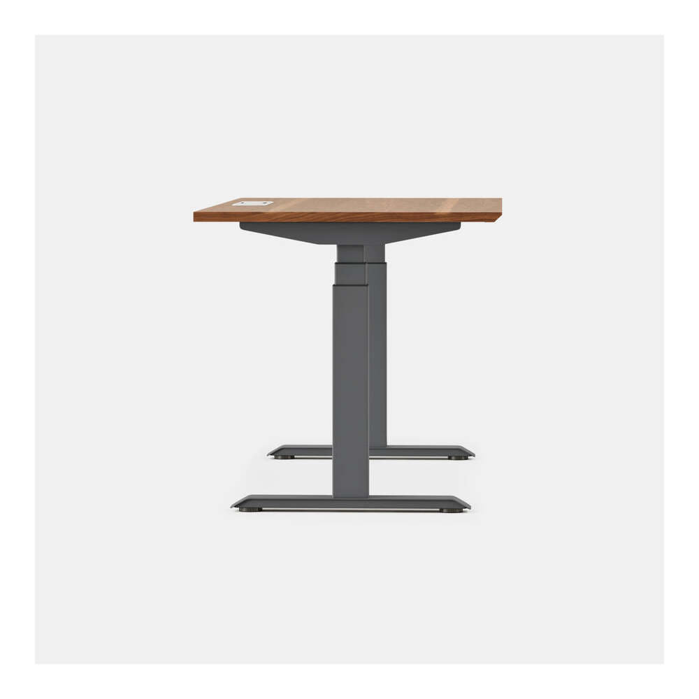 Standing Desk, 52" H x 60" W x 30" D, Charcoal, Walnut