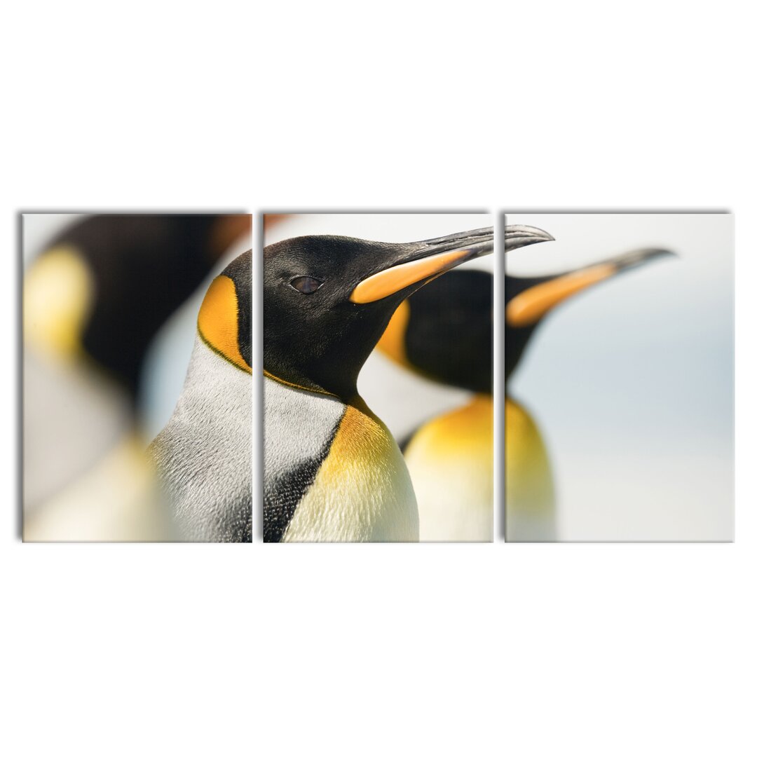 3-tlg. Leinwandbilder-Set Pinguine