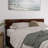 Lamecia Platform Bed with Panel Footboard and Storage Drawers-1845808043-1845808022