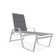Holna Outdoor Rust-Resistant Metal Chaise Lounge