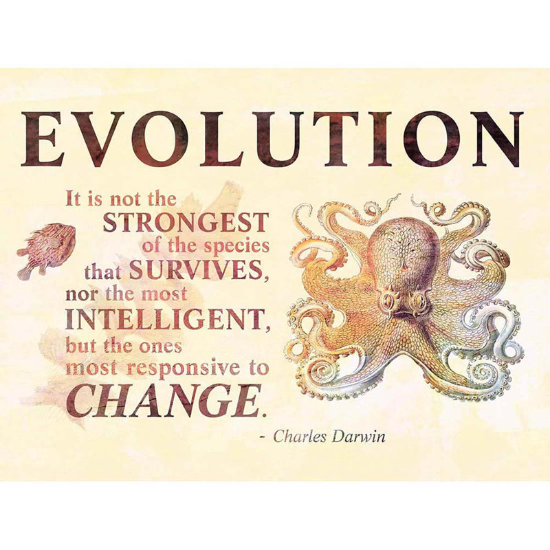 Evolution Darwin Responsive Change Strongest Quote Octopus - No Frame Art Prints