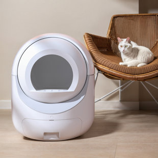 Litière intelligente intelligente pour chat