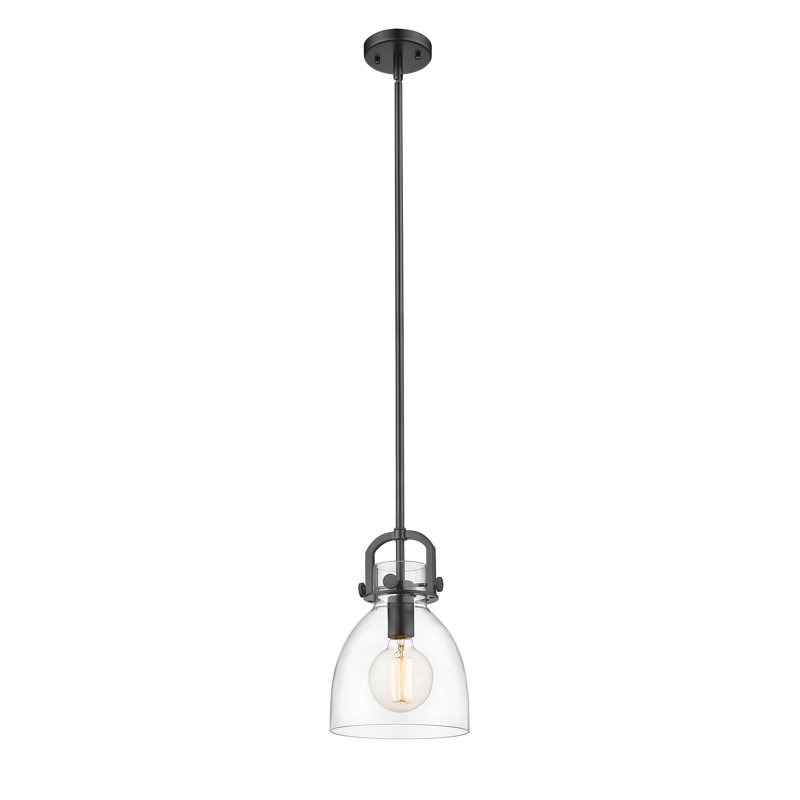 Badillo 1 Light Stem Hung Pendant, Clear, Matte Black, 11.75" H x 8" W x 8" D