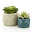 Sprague Ceramic Cachepot