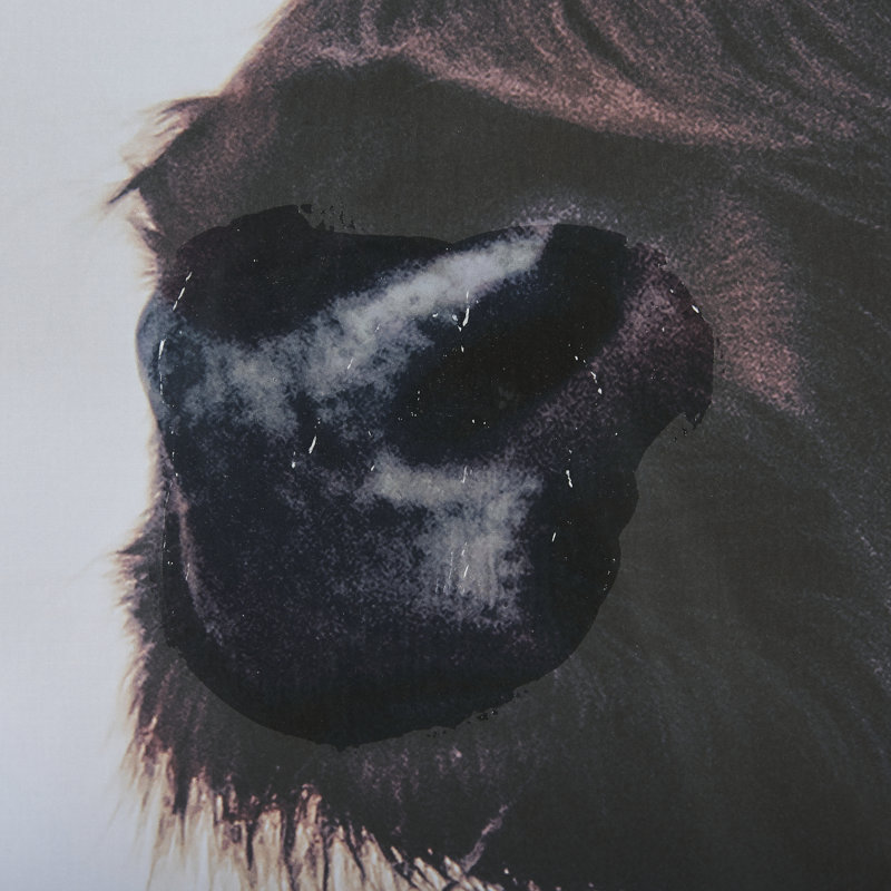 Stark Still-Look a Hand Embelished Textured Framed Art Print Matted under Glass, Stark Still-Gaze