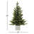 30' Christmas Tree