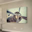 Ryan Hartson-Weddle - Wrapped Canvas Print-20254517