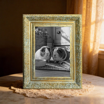Antique Gold 1PC Heritage Style Picture Frame for 5" x 7" Photos and Wedding Photo Display