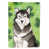 Malamute d’Alaska noir sélectionné