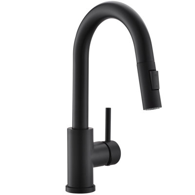 AWZTOO Kitchen Faucet