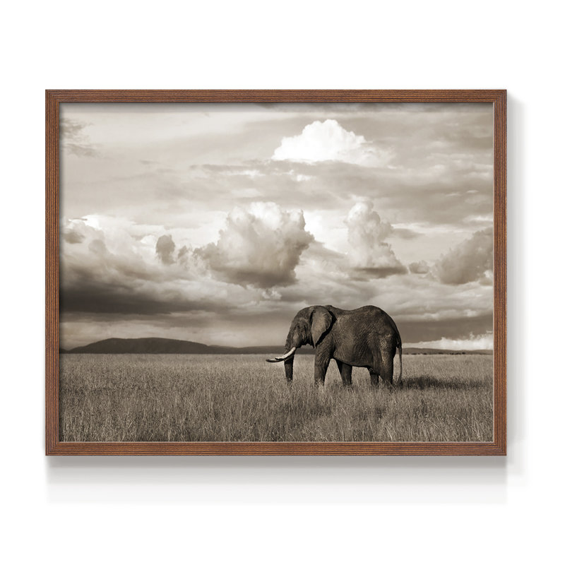 Maasai Majesty Sepia -Framed Print - Restickable, Noyer, H 16 po x l 20 po