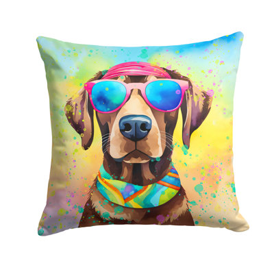 Other/No Pattern Throw Pillow