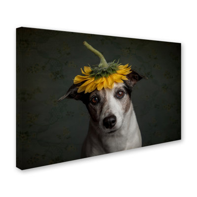 « look like a tournesol », reproduction de photo sur toile tendue