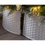 Plastic Tree Collar-34855016