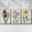Garden Gems IV, ensemble de 3 toiles encadrées sur toile-97793024-97793025