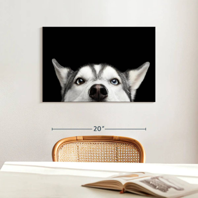 Peeking Siberian Husky, 16" H x 24" W