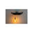 The Tail Will Follow Resin Flush Mounted Sconce