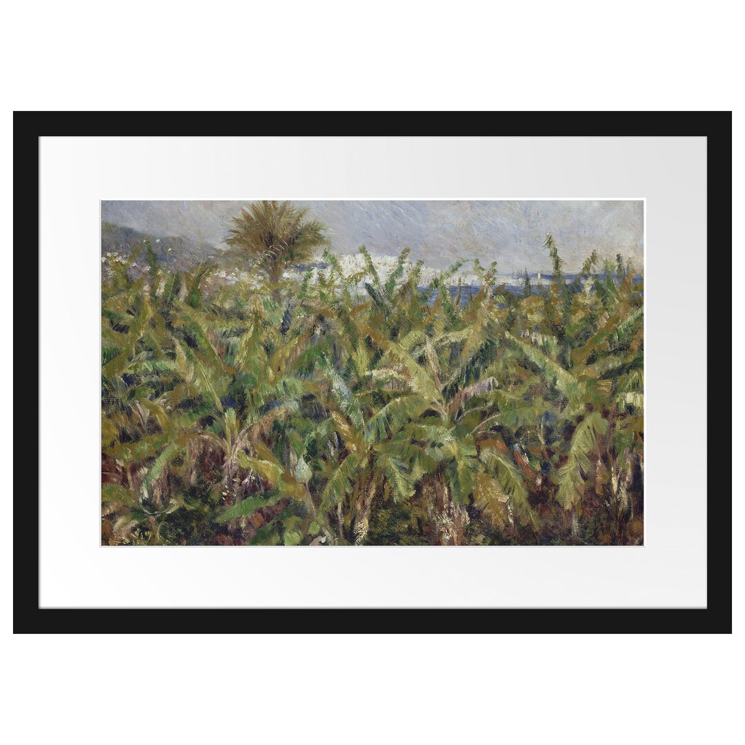 Gerahmtes Poster Field with Banana Trees von Pierr