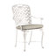 Provance Patio Dining Armchair with Cushion-83260218-83260223-83260245
